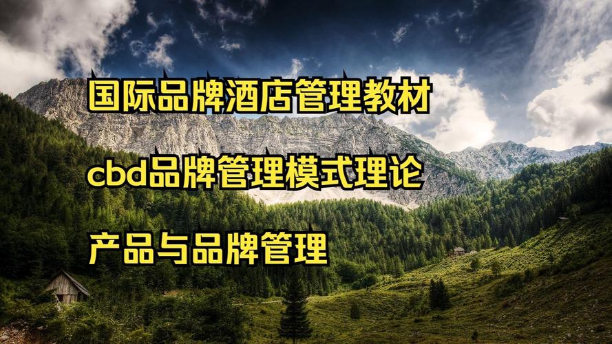 国际品牌酒店管理中的CBD品牌管理模式理论——产品与品牌管理的整合视角